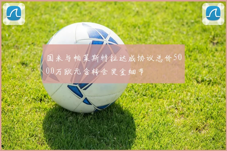 国米与帕莱斯特拉达成协议总价5000万欧元含转会奖金细节