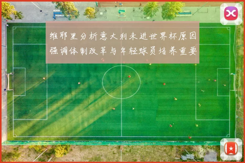 维耶里分析意大利未进世界杯原因强调体制改革与年轻球员培养重要性